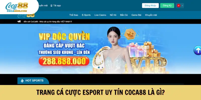 Trang cá cược esport uy tín Coca88 là gì?