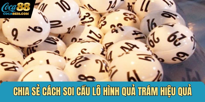 Chia sẻ cách soi cầu lô hình quả trám hiệu quả