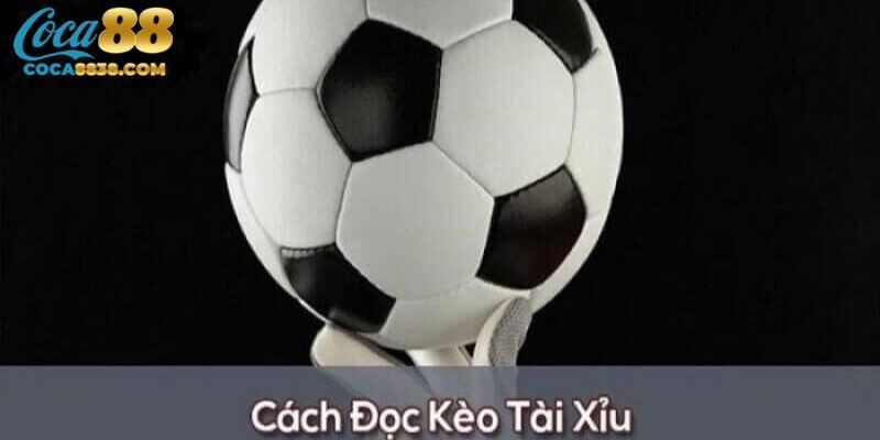 Tổng quan về kèo tài xỉu tại Coca88