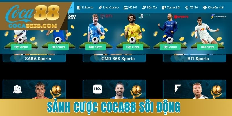 Hệ thống thể thao COCA88 với hơn 1000 biến động kèo